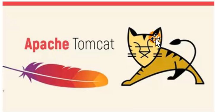 tomcat